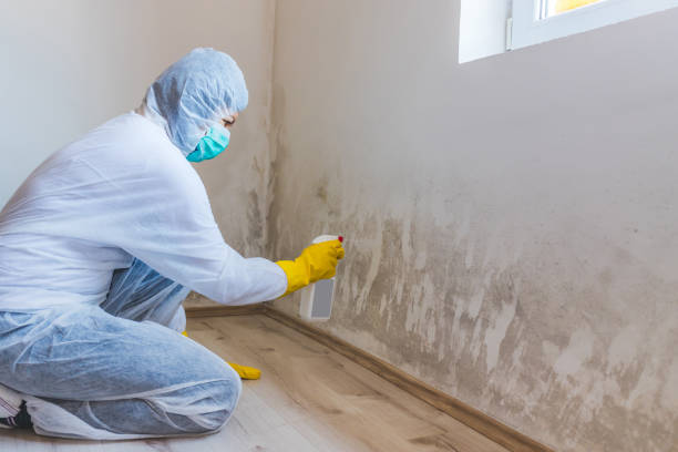 Commercial Mold Remediation assessment for commercial property in Dresher