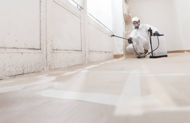 Post-remediation clearance in Dresher